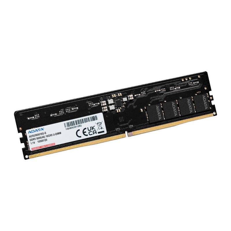 ADATA AD5U560016G-S module de mémoire 16 Go 1 x 16 Go DDR5 5600 MHz