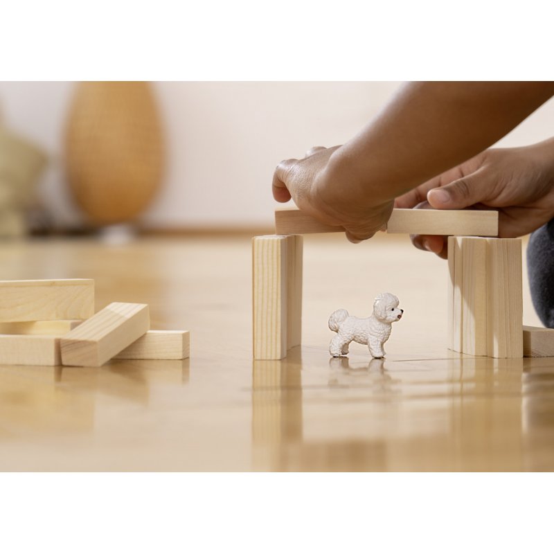 Schleich FW Bichon Frisé  13963