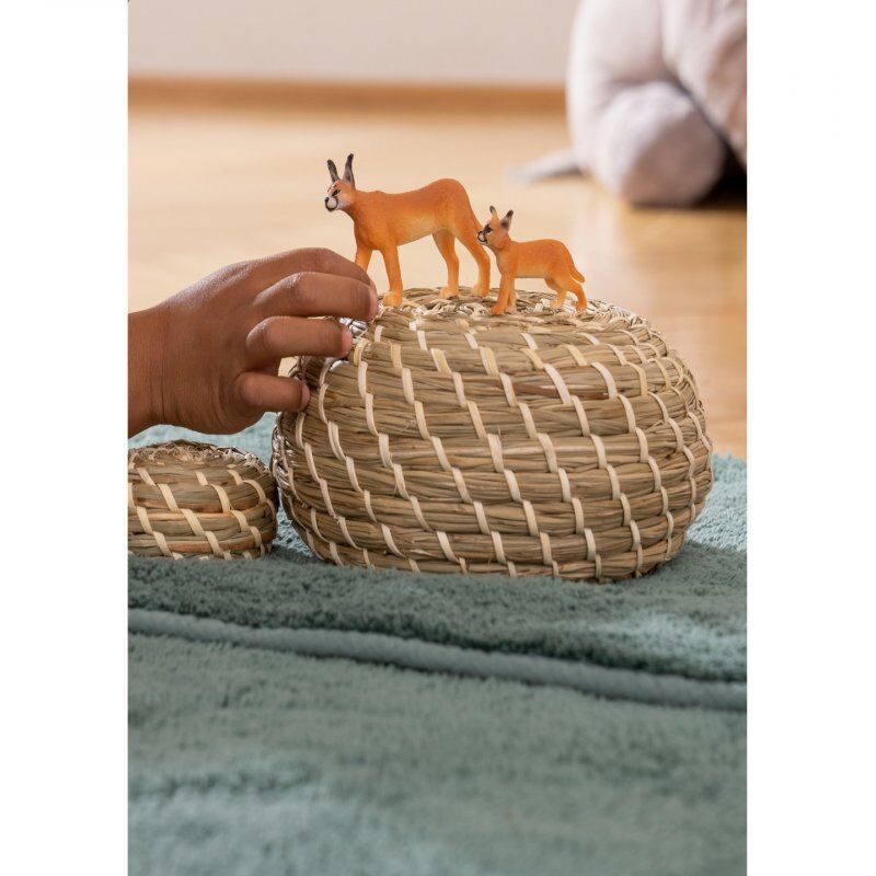 schleich WILD LIFE 14867 children's toy figure