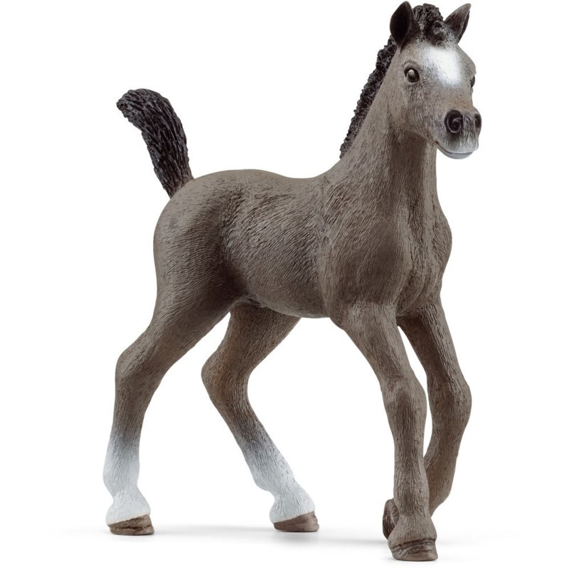 Schleich HC Cheval de Selle Fran. Fohlen  13957