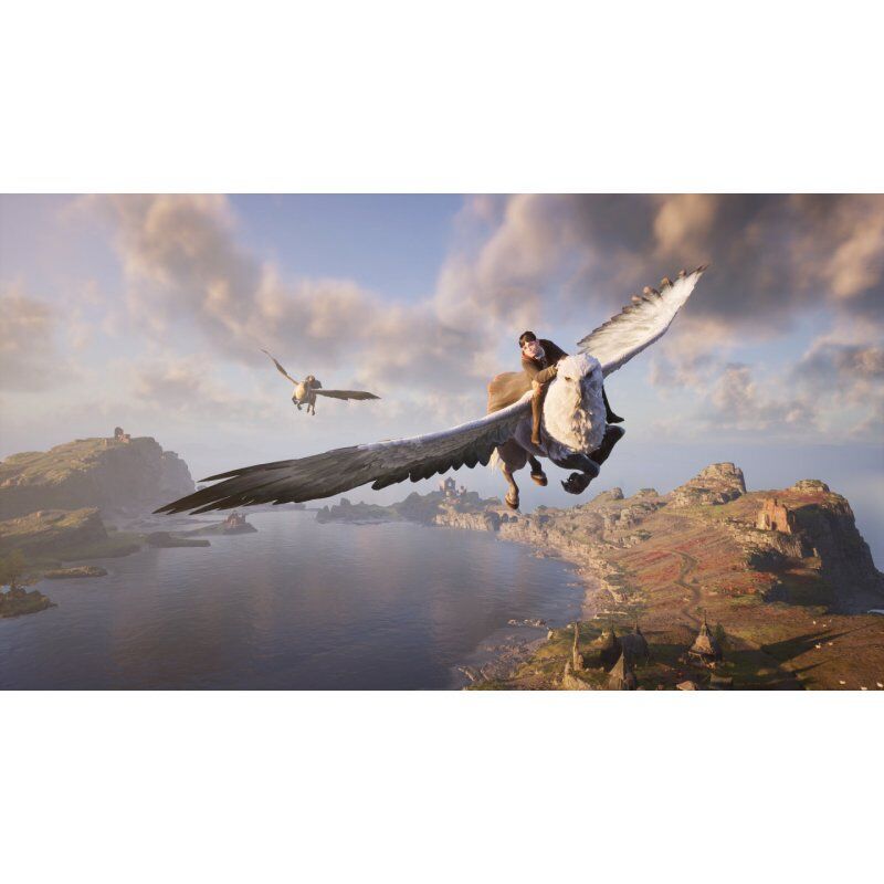 Warner Bros Hogwarts Legacy (PS4) Standard Multilingual PlayStation 4