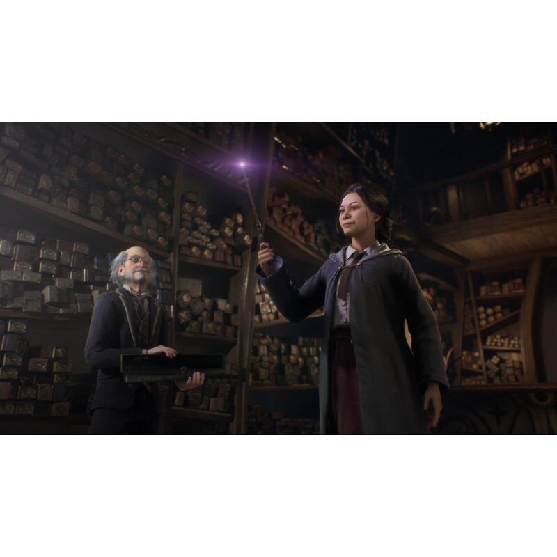 Warner Bros Hogwarts Legacy (PS5) Standard Multilingual PlayStation 5