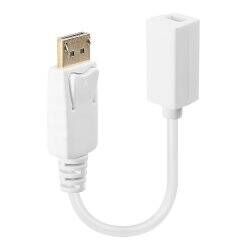 LINDY DisplayPort DPM/Mini-DPF Cable