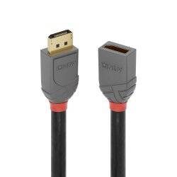 LINDY 0.5m DP Extension Cable Anthra