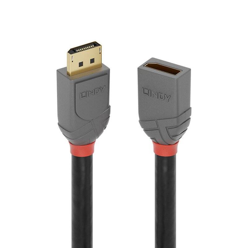 LINDY 0.5m DP Extension Cable Anthra