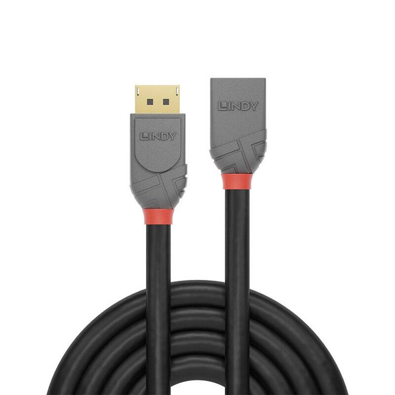 LINDY 1m DP Extension Cable Anthra