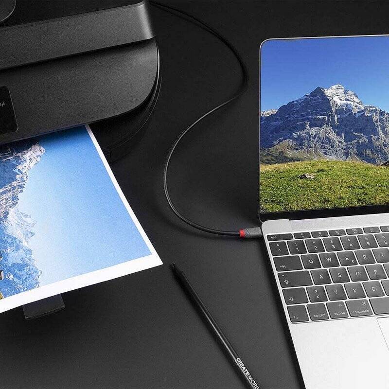 LINDY 0.5m USB 2.0 Type C to B Cable