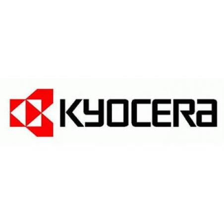 Kyocera Developerkit DV-350 für FS-3920DN/ FS-4020DN (302LW93010)