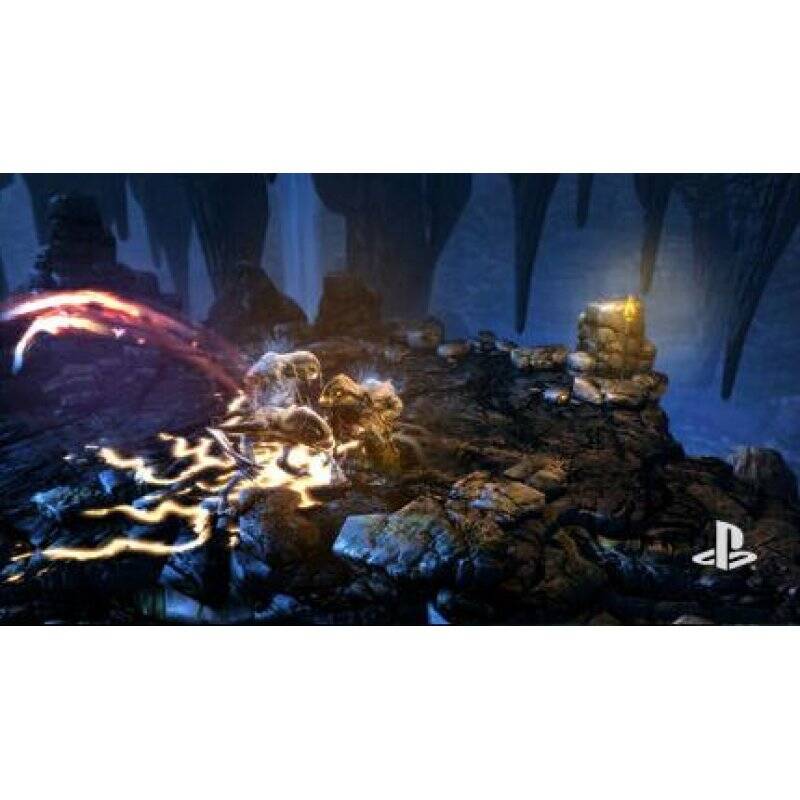 Dungeon Siege III (3)