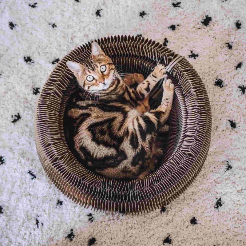 District 70 6562 dog / cat bed Nest pet bed