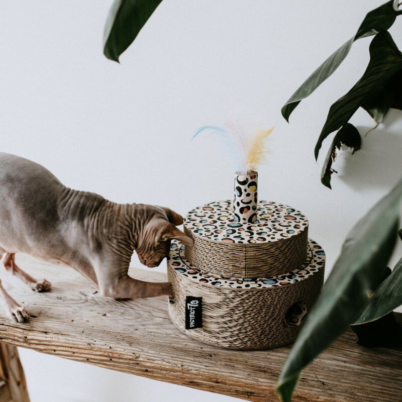 District 70 6564 cat scratcher Cat scratching post