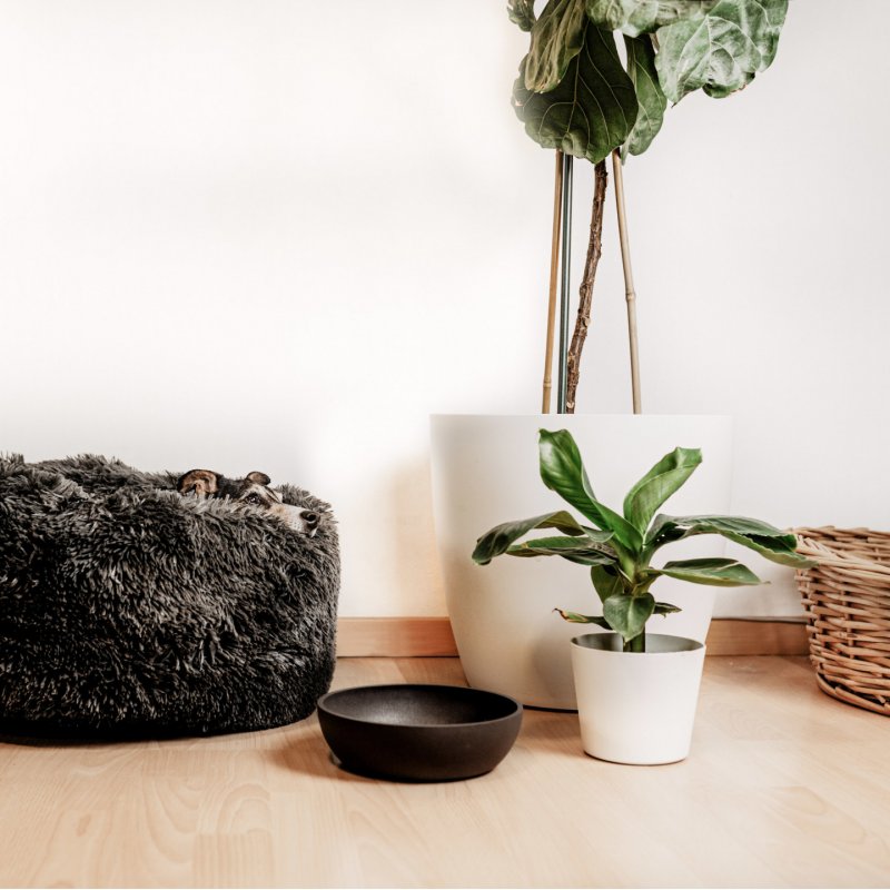 District 70 - BAMBOO Bowl Small Dark Grey - (871720261395)