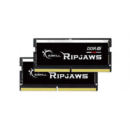 G.Skill Ripjaws F5-4800S4039A16GX2-RS module de mémoire 32 Go 2 x 16 Go DDR5 4800 MHz