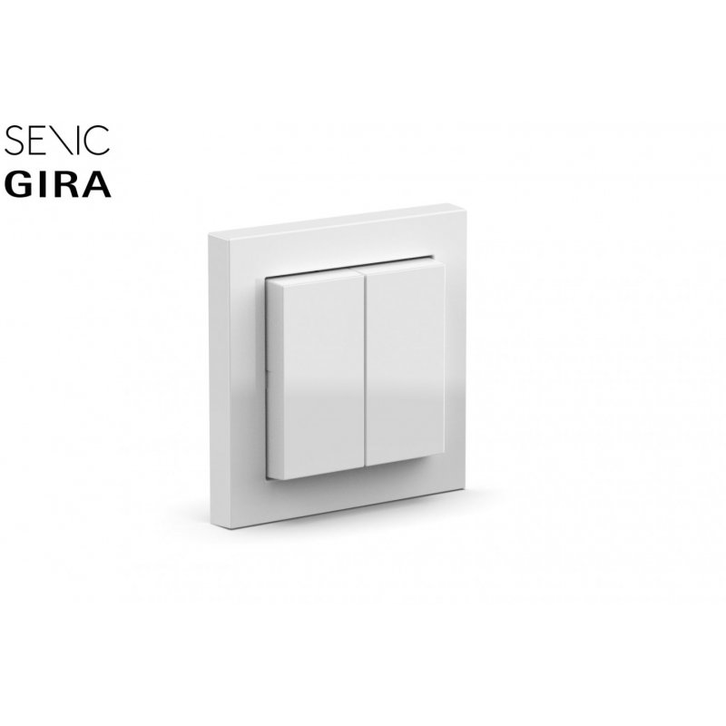 Senic Friends of Hue Switch light switch Polycarbonate (PC) Assorted colours, Black, Grey, White