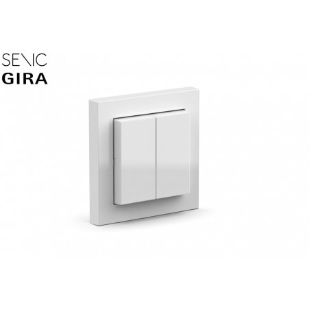 Senic Friends of Hue Switch light switch Polycarbonate (PC) Assorted colours, Black, Grey, White