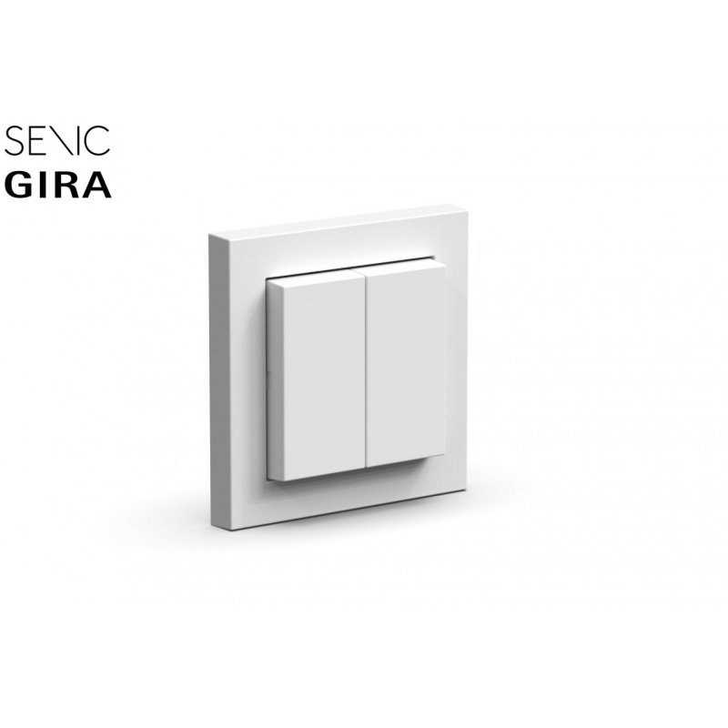 Senic Friends of Hue Smart Switch - wh 100156