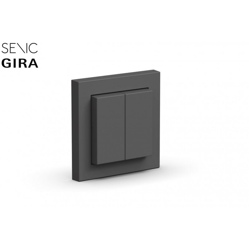 Senic Friends of Hue Smart Switch - wh 100156