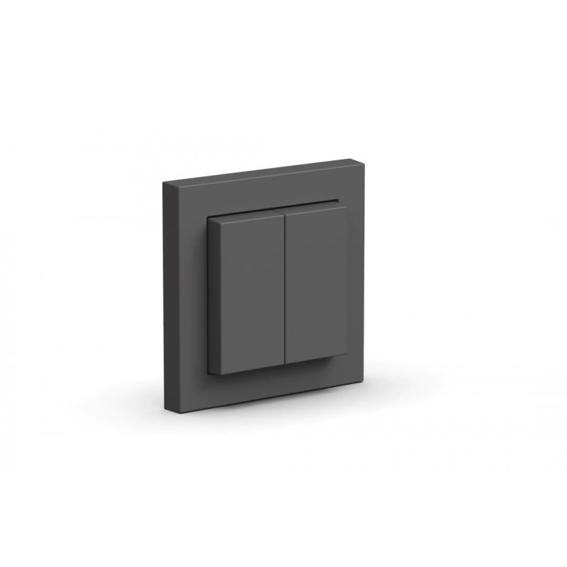 Senic Friends of Hue interrupteur d'éclairage Polycarbonate (PC) Anthracite