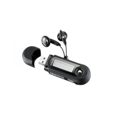 Intenso Music Walker       bk  16 GB