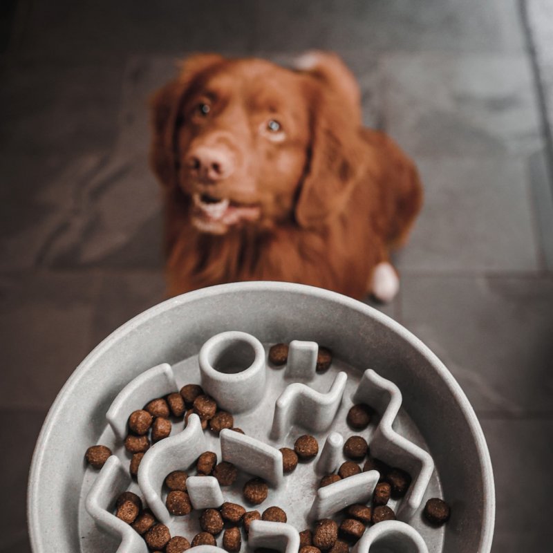 District70 -  BAMBOO Slow Feeder, Dark Grey M - (871720261595)