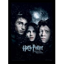 HARRY POTTER - Le Prisonnier d'Azkaban - Impression encadrée 30x40cm