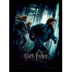 HARRY POTTER - Reliques de la Mort Part 1 -Impression encadrée 30x40cm