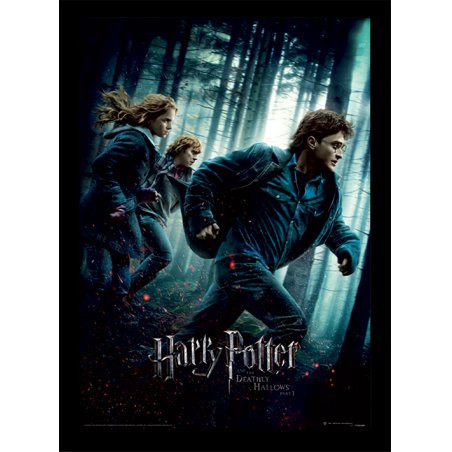 HARRY POTTER - Reliques de la Mort Part 1 -Impression encadrée 30x40cm