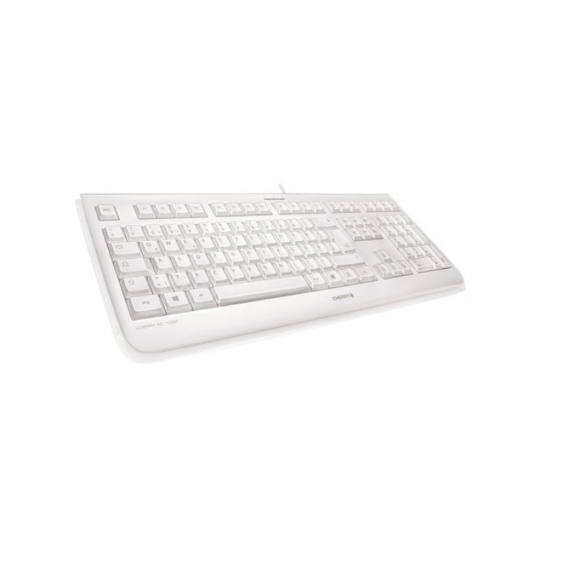 CHERRY KC 1068 clavier USB Suisse Gris
