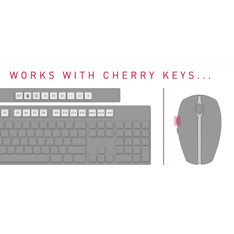 CHERRY DW 5100 keyboard Mouse included RF Wireless Czech, Slovakian Black
