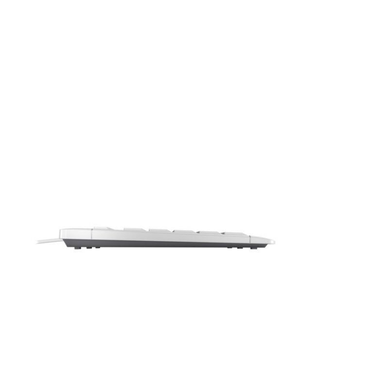 CHERRY STREAM KEYBOARD TKL clavier USB QWERTZ Suisse Blanc