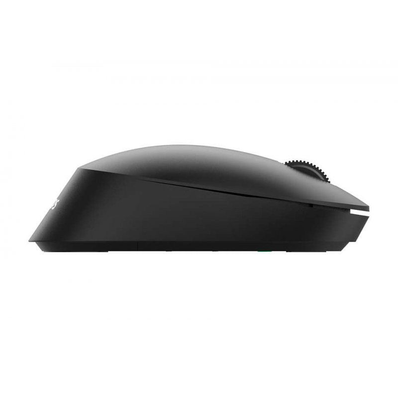 Philips SPK7307B/00 souris Ambidextre RF sans fil Optique 1600 DPI