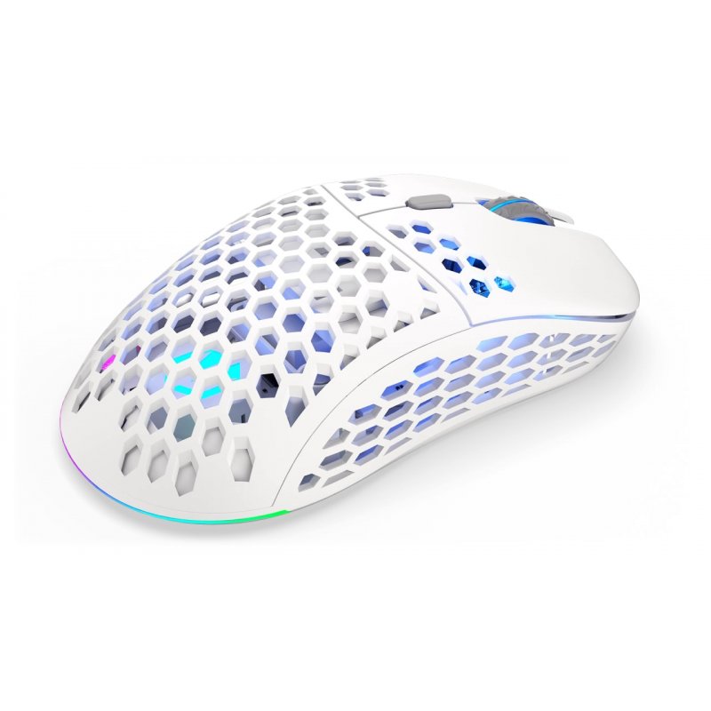 ENDORFY LIX OWH Wireless EY6A010 souris Ambidextre RF Wireless + USB Type-C Optique 16000 DPI