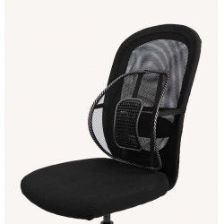Swedish Posture Support Lombaire Back Rest