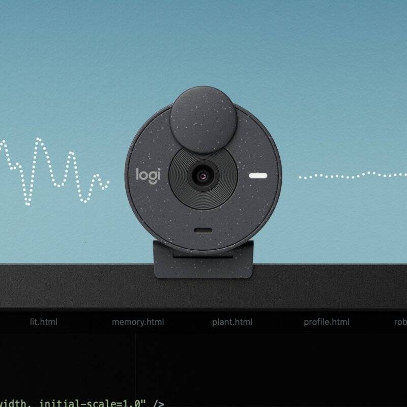 BRIO 300 FULL HD WEBCAM -GRAPHITE-EMEA28-935