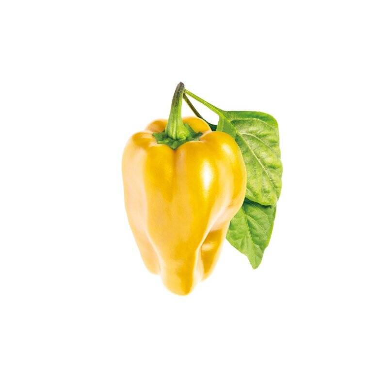 Click and Grow -  Smart Garden Refill 3-pack - Yellow Sweet Peppers (SG-020)