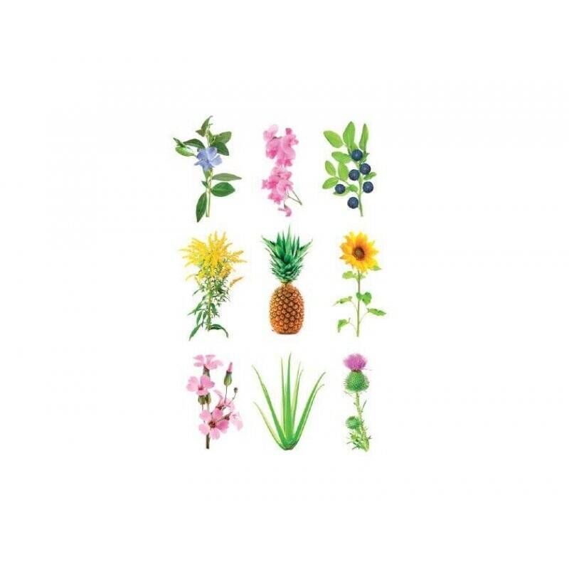 Click and Grow - Smart Garden Refill 3-pack - Experimental (SG-014)