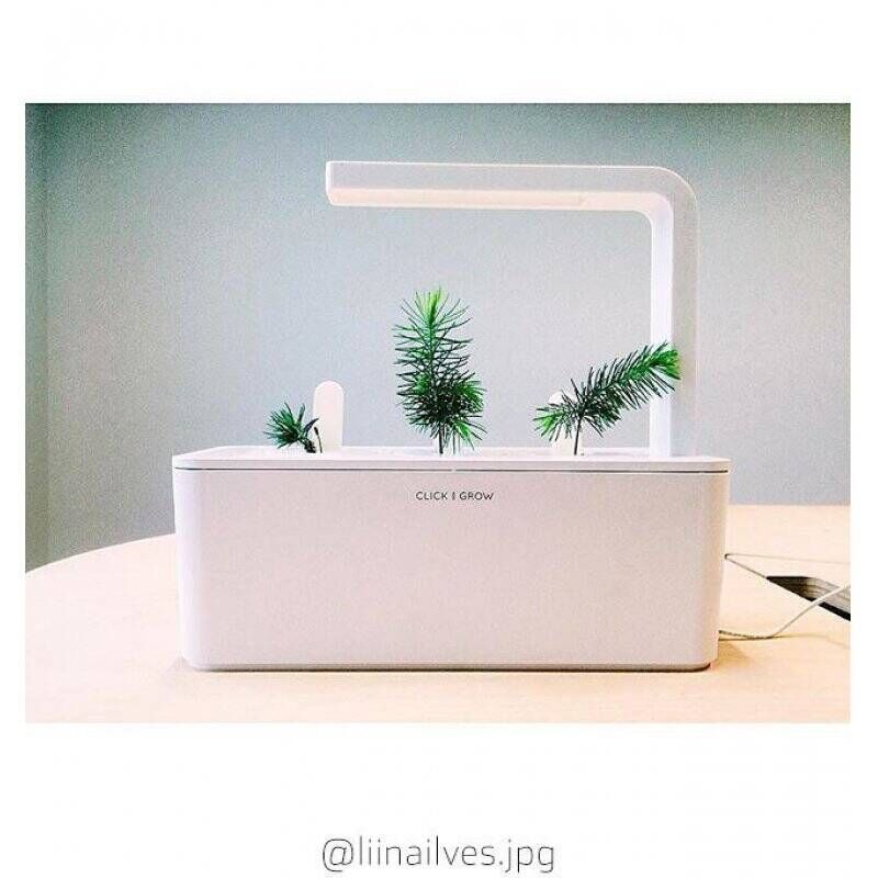 Click and Grow - Smart Garden Refill 3-pack - Experimental (SG-014)