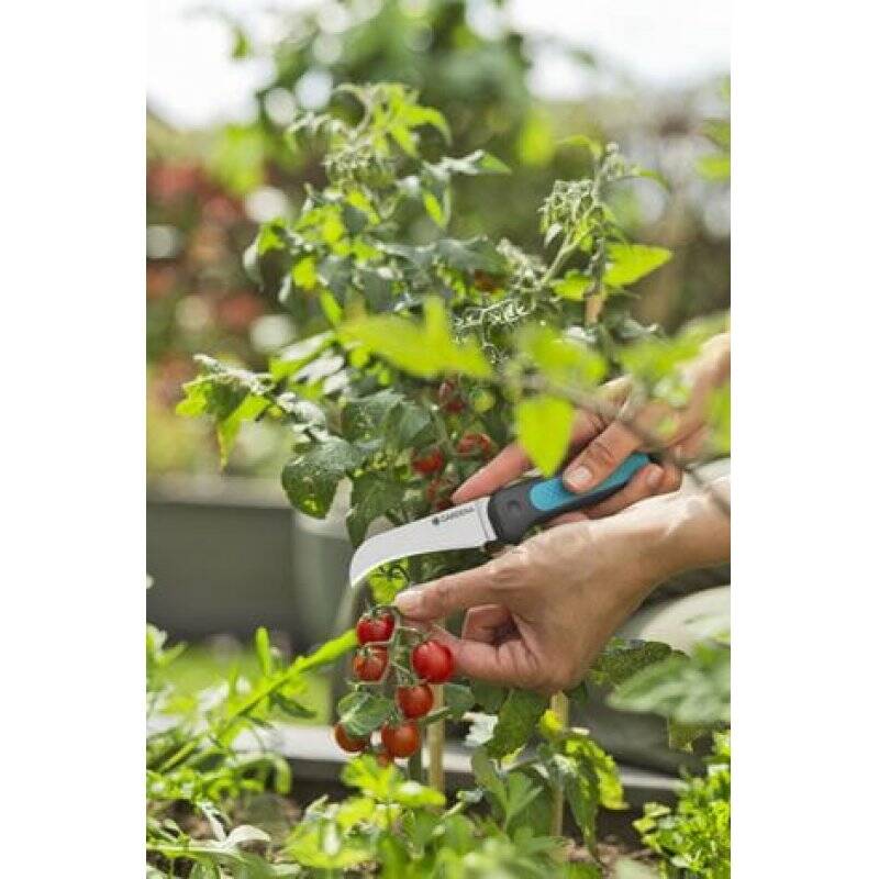 Gardena VeggieCut sécateur Noir, Vert