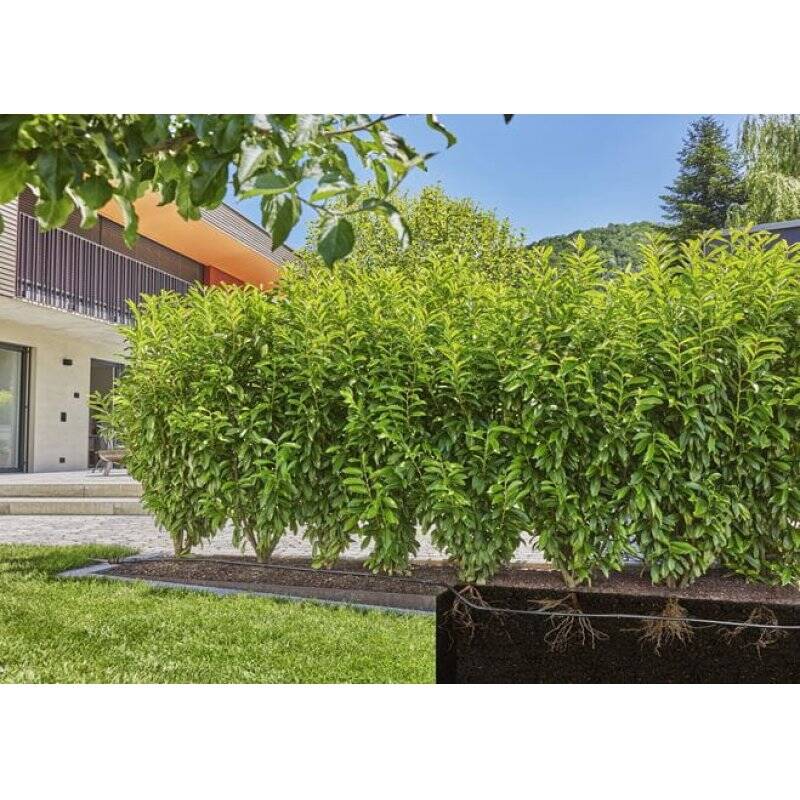 Gardena 13500-20 système d'irrigation goutte-à-goutte