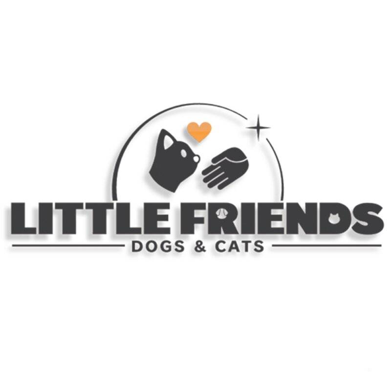 Sold Out Little Friends : Dogs & Cats Standard Nintendo Switch