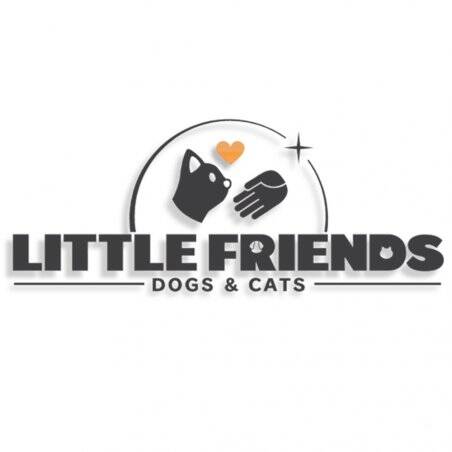 Sold Out Little Friends : Dogs & Cats Standard Nintendo Switch