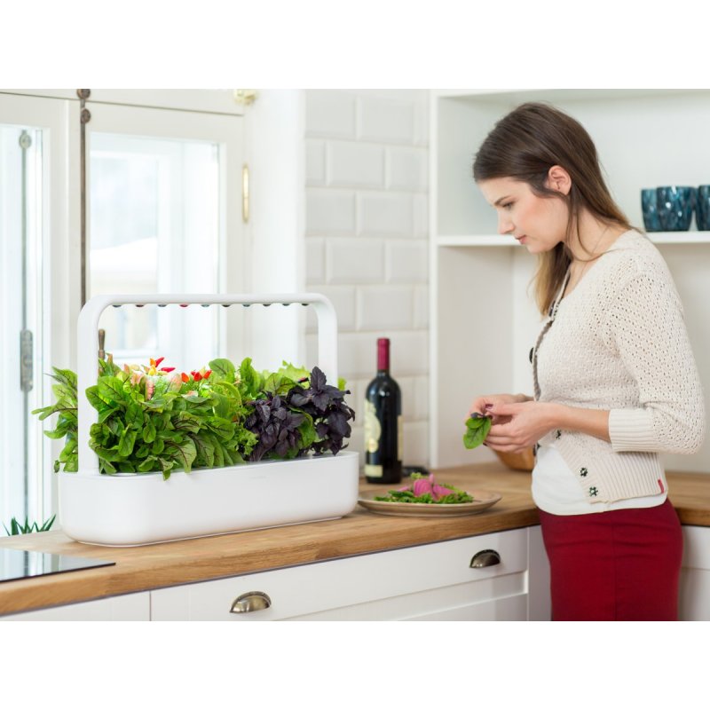 Click & Grow Smart Garden 9 home garden Grey