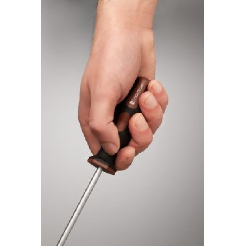 Noctua NM-SD1 SecuFirm2+ Torx T20 Schraubendreher