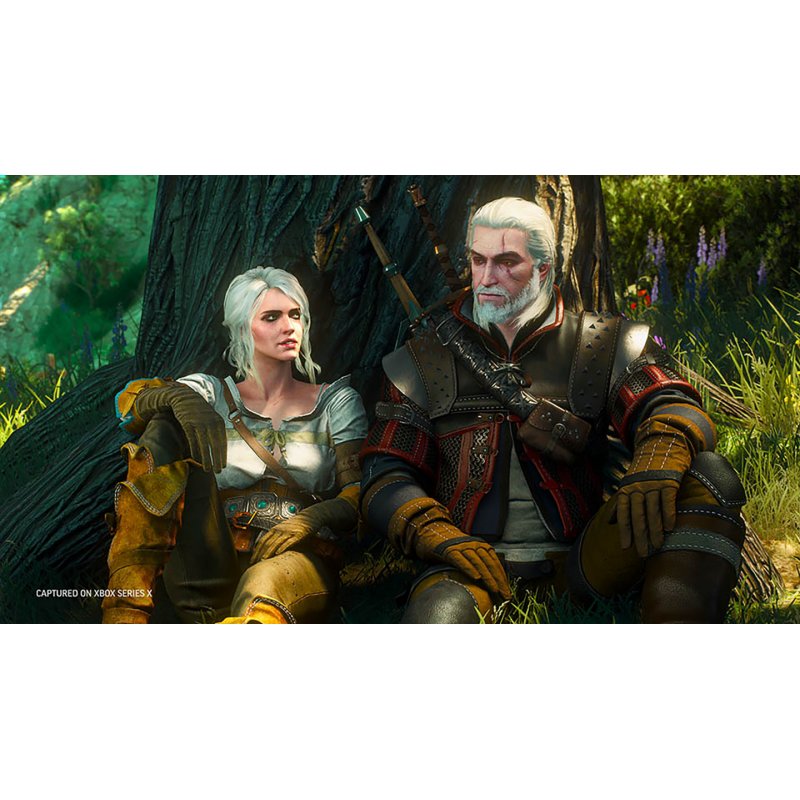 CD Projekt The Witcher 3: Wild Hunt - Complete Edition