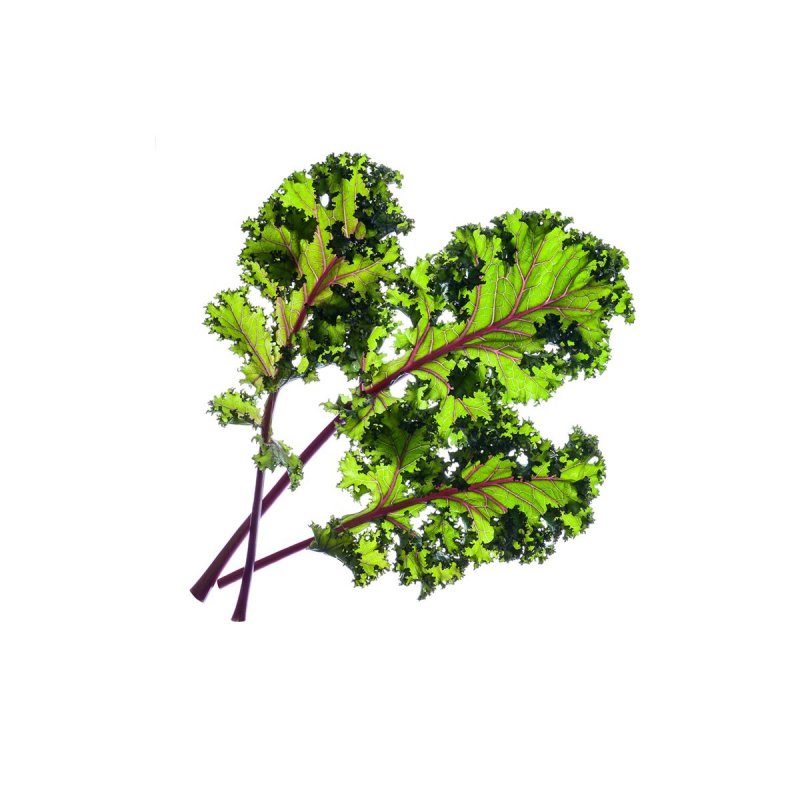Click and Grow -  Smart Garden Refill 3-pack - Red Kale (SG-049)