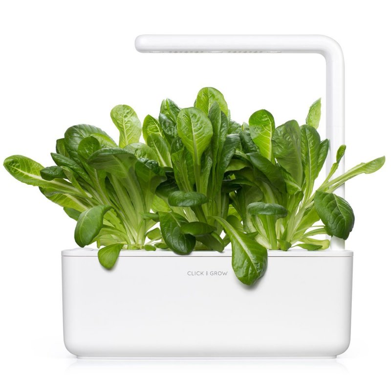 Click & Grow ROMAINE LETTUCE PLANT PODS