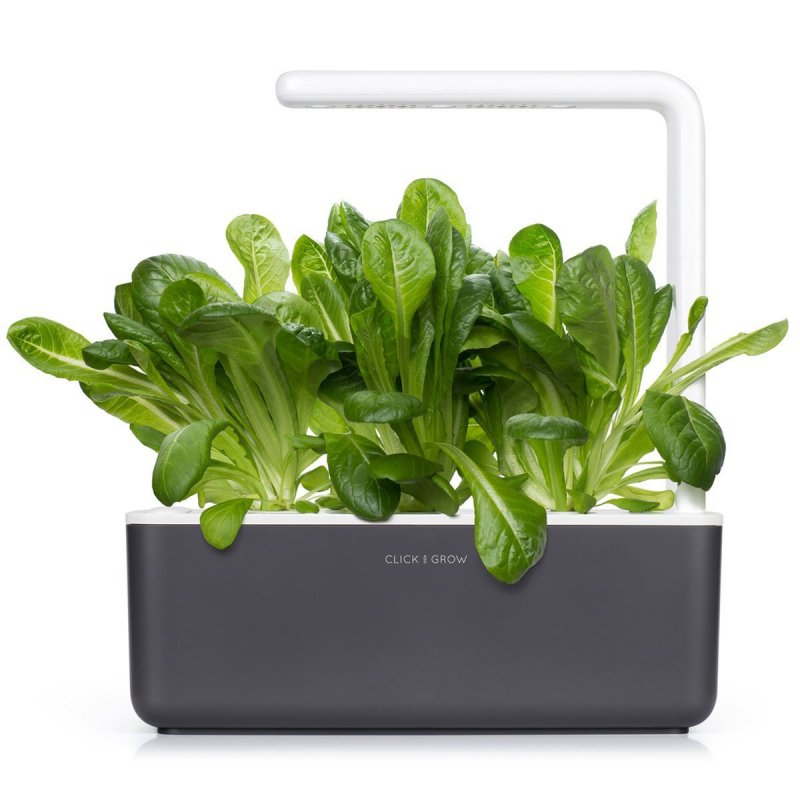 Click & Grow LAITUE ROMAINE