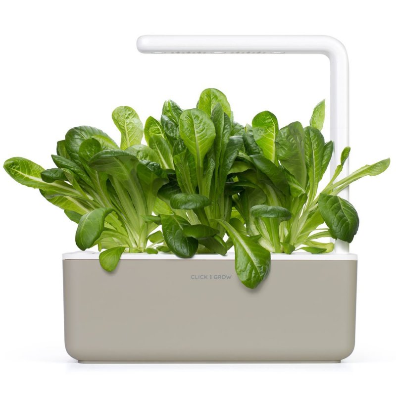 Click & Grow ROMAINE LETTUCE PLANT PODS