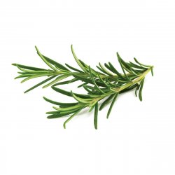 Click & Grow ROSEMARY PLANT PODS