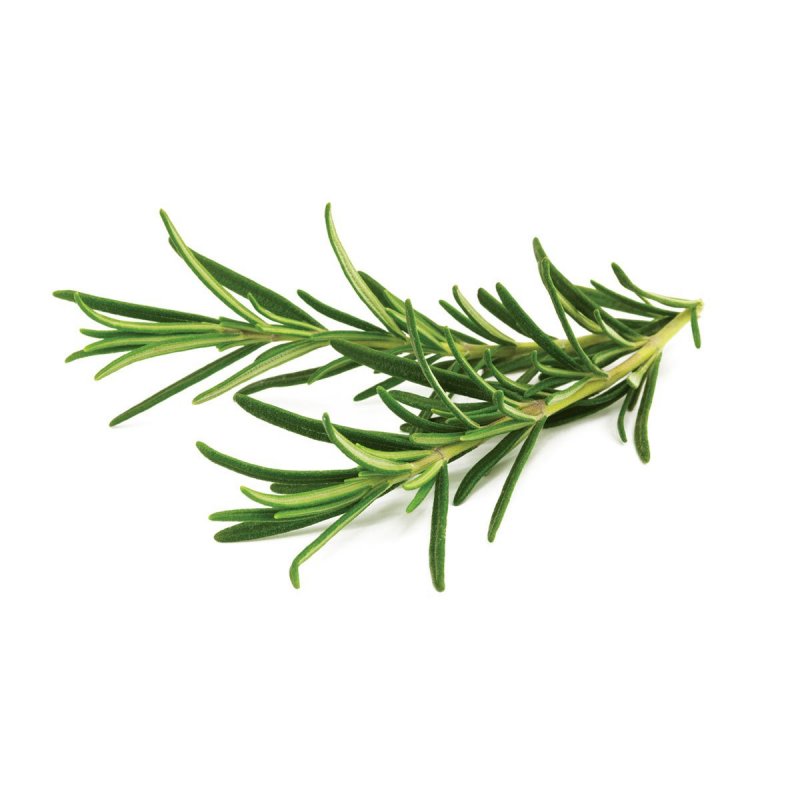 Click and Grow - Smart Garden Refill 3-pack - Rosemary (SG-022)
